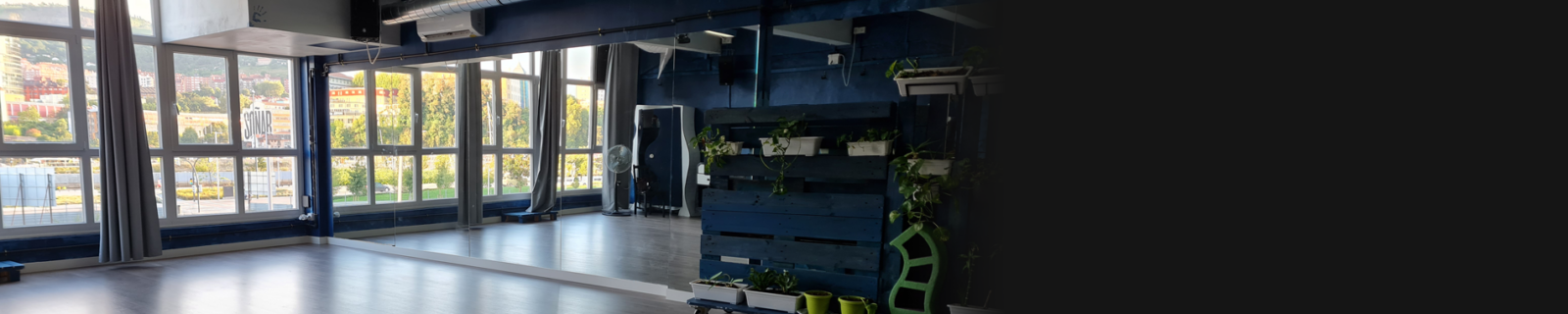 Diapo-berria-Zart_Ingenio-1900x600-200