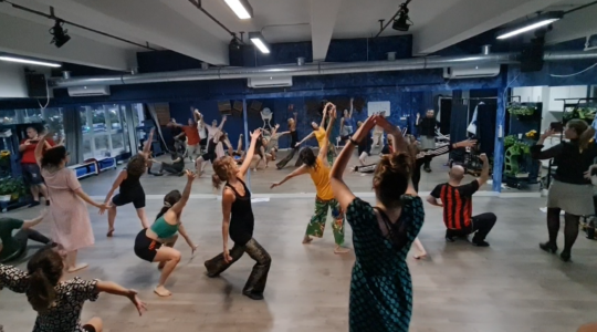 Formación y entrenamiento danza profesionales